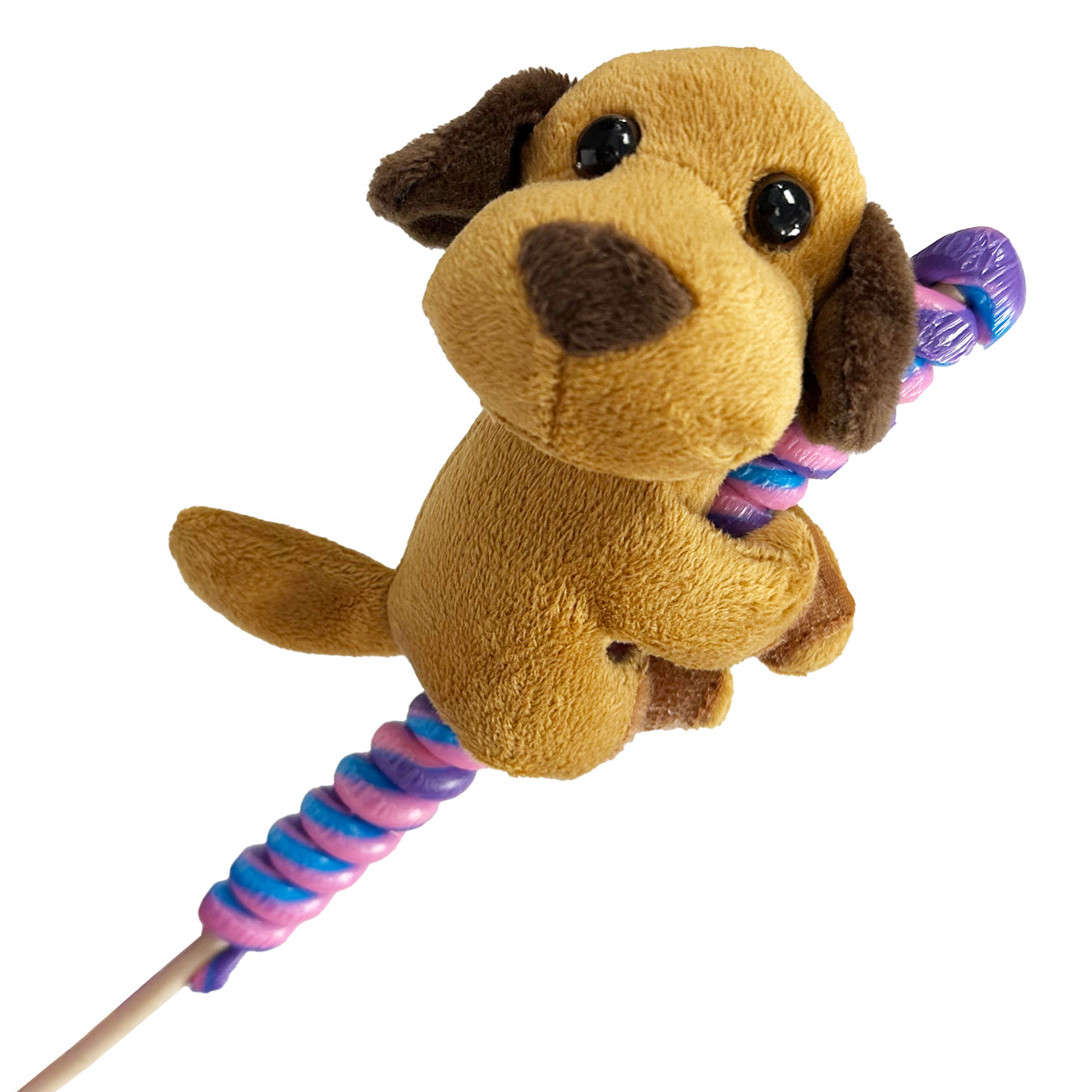 Dog Candy Climber Pop Dylan s Candy Bar